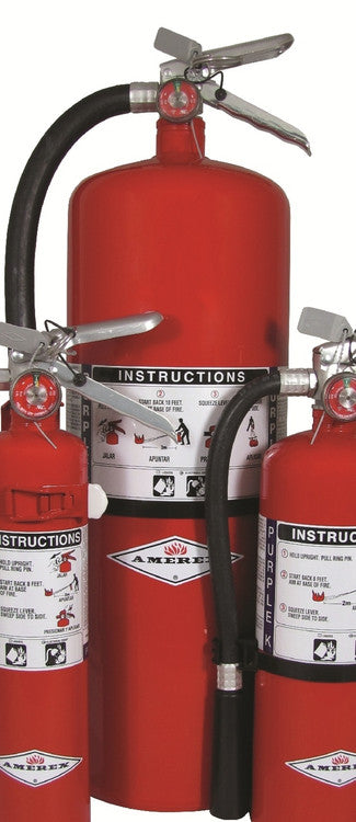 Amerex A413 (20 lbs.) Purple K Dry Chemical Fire Extinguisher