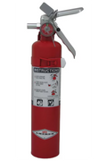 Amerex B410T (2.5 lbs.) Purple K Dry Chemical Fire Extinguisher